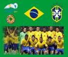 Сборная Бразилии, Группа B, Аргентина 2011